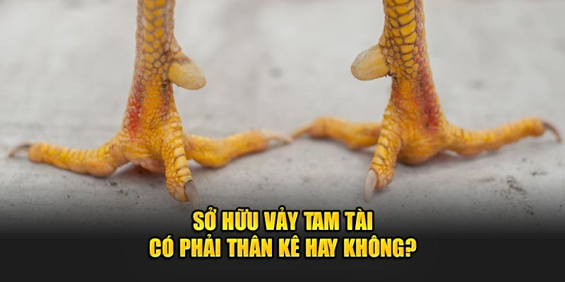 so-huu-vay-tam-tai-co-phai-than-ke-hay-khong